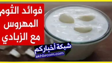 فوائد تناول الثوم المهروس مع الزبادي