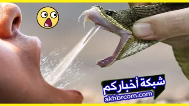 بلع سم الثعبان