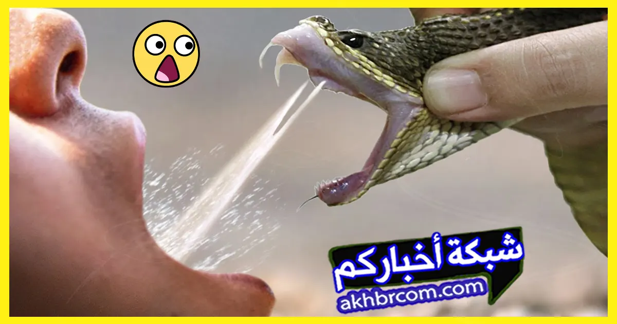 بلع سم الثعبان