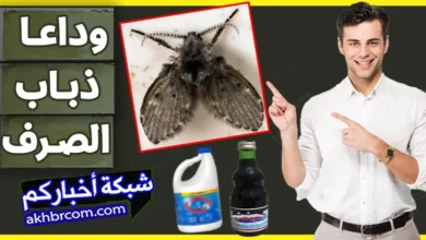 كيف تخلصت من حشرة البرغشة ذباب الصرف