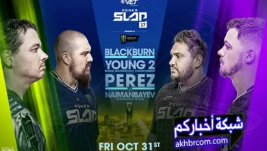 عرض باور سلاب 17